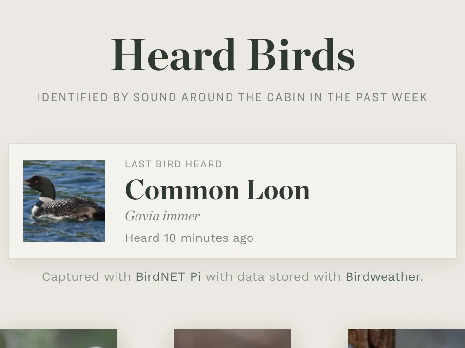 Birds heard around the cabin, identified by sound